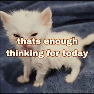 Share show today! 5pm EST 2 PM PST share show! giveaway Bloomingdales tote!